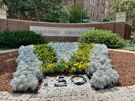 Vandy 6